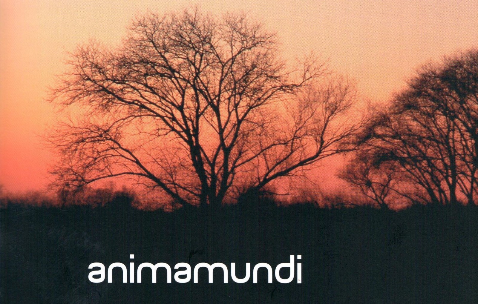 animamundi(1)